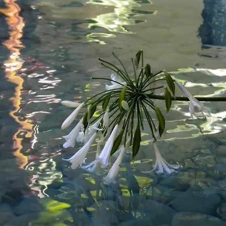 Spirit Of The Knights Boutique Hotel