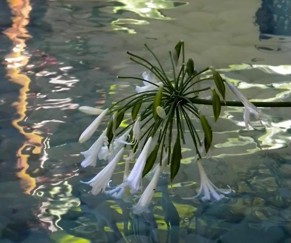 Spirit Of The Knights Boutique Hotel